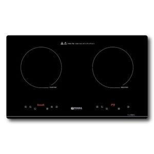 Bếp đôi 2 từ FZ-86EC