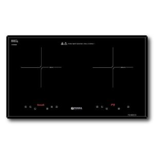 Bếp đôi 2 từ FZ-86ECS